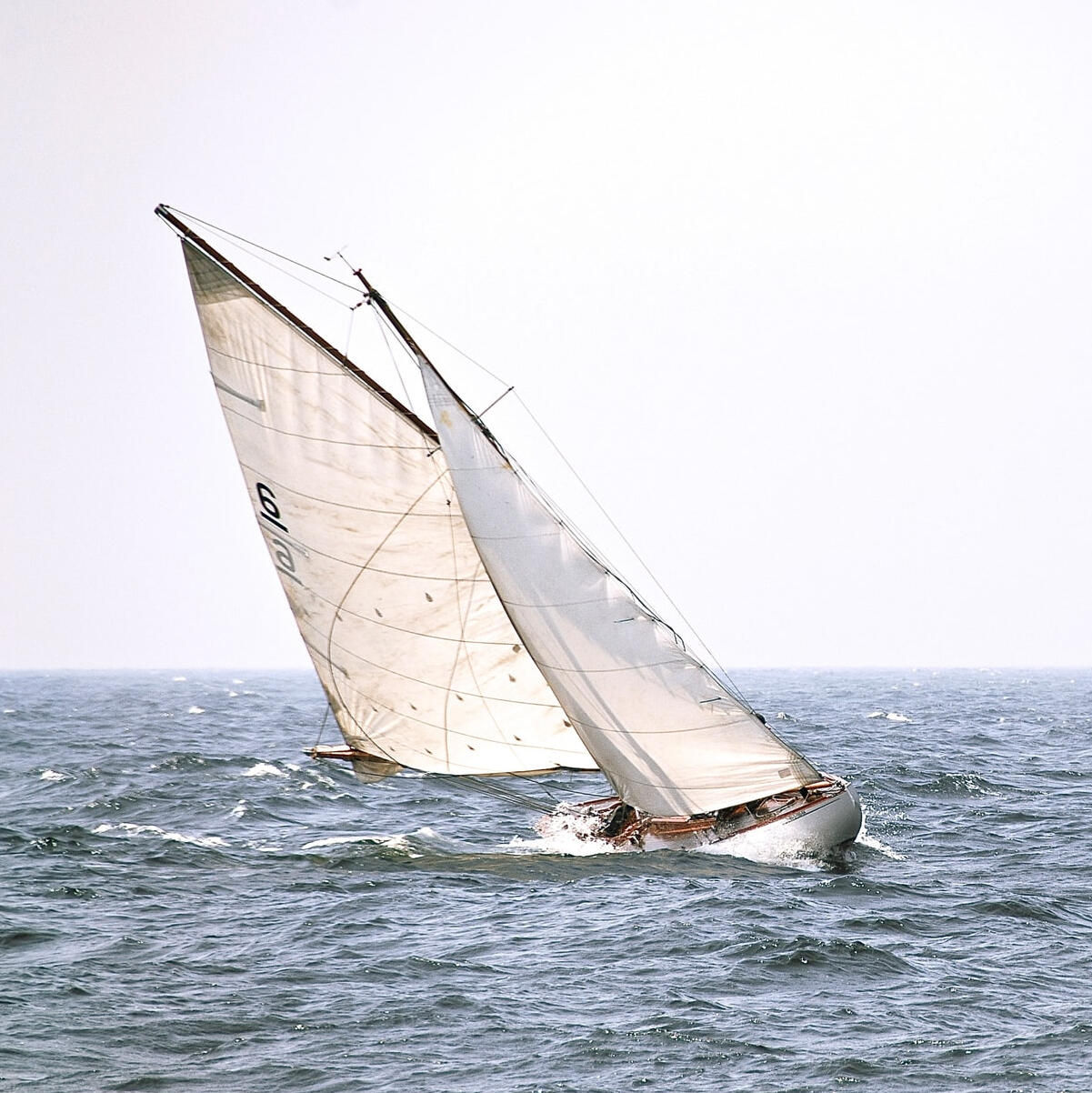 Photo by https://unsplash.com/@alfonsescu